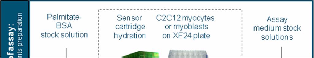 Fatty Acid Oxidation Assay on the XF24 Analyzer Mitochondria oxidize a variety of fuels to generate ATP through oxidative phosphorylation.