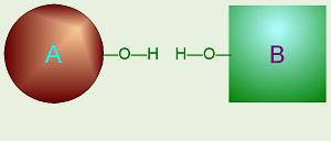 Complex Carbohydrates Dehydration Synthesis reaction in