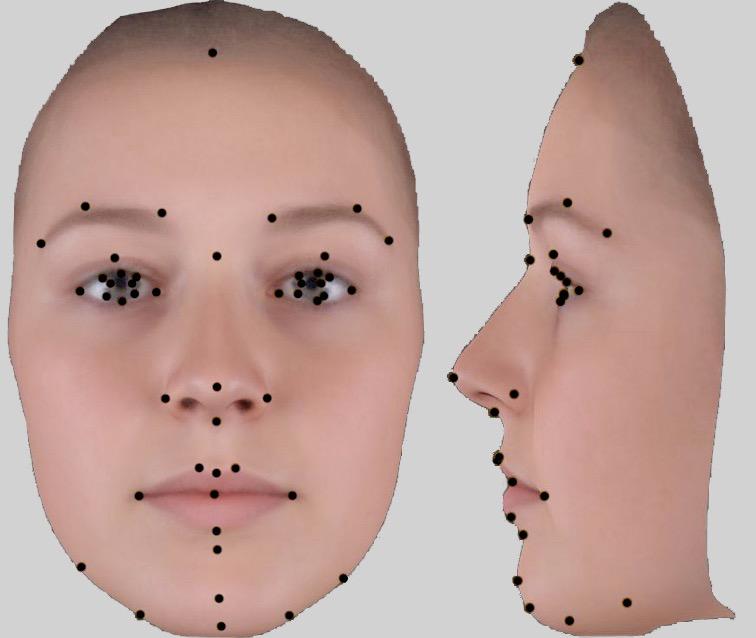 ! SIGNALS OF PERSONALITY AND HEALTH!11 error under 0.5 mm of the original scan, meaning all vertices of the fitted meshes were identical to the original scan within 0.5mm.