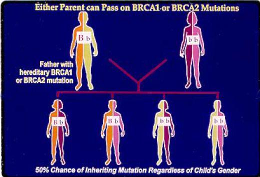 breast cancer (BRCA etc) Patient stratification: EGFR, KRAS, BRAF, PIK3CA,