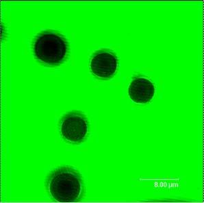 Confocal fluorescence micrograph of emulsion droplets obtained via selfassembly of 6 nm Fe 3 O 4 NCs at the
