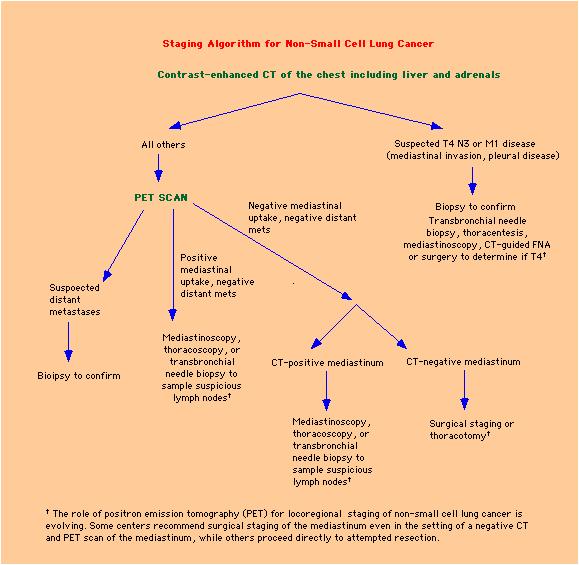 NSCLC Staging