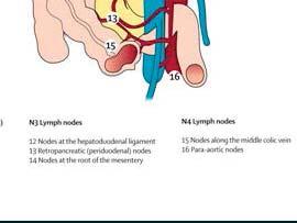 areas in surgical