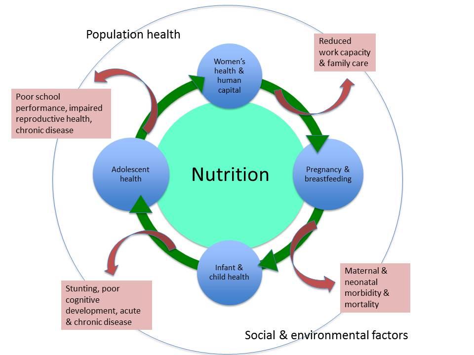The issue of nutrition Nutrition has been traditionally neglected as an essential component of the healthcare