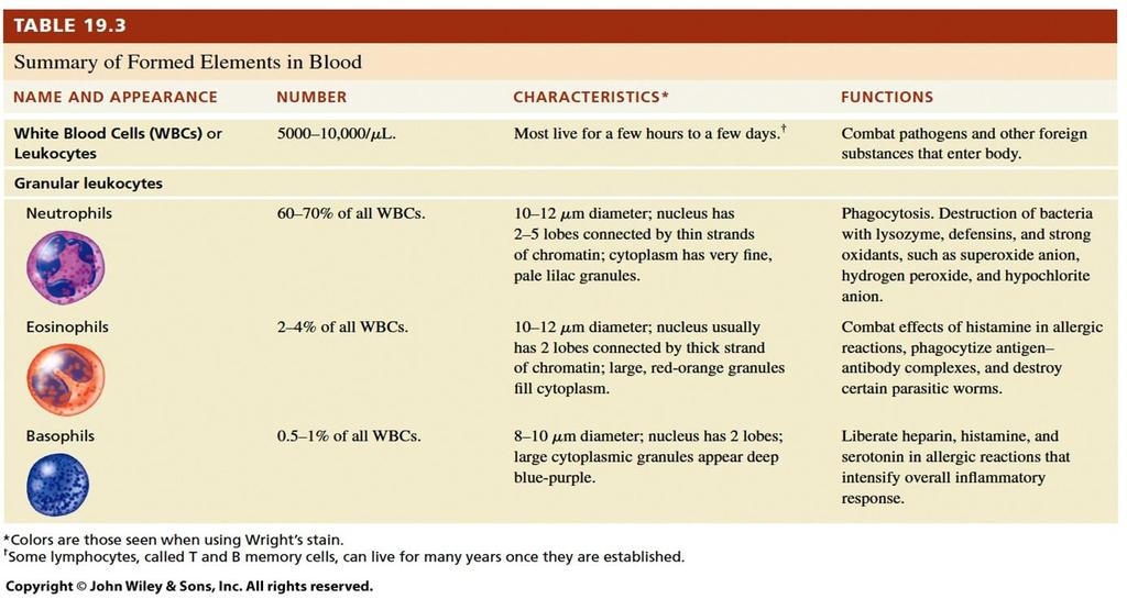 Blood Cells - WBCs Tortora, GJ & Derrickson, B 2014, Principles of anatomy and physiology, 14th