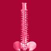 Business Update: Proposed Disc-O-Tech Transactions* Innovative treatments for minimally invasive fusion and vertebral augmentation B-Twin Expandable Spinal System Confidence Cement System SKy Bone