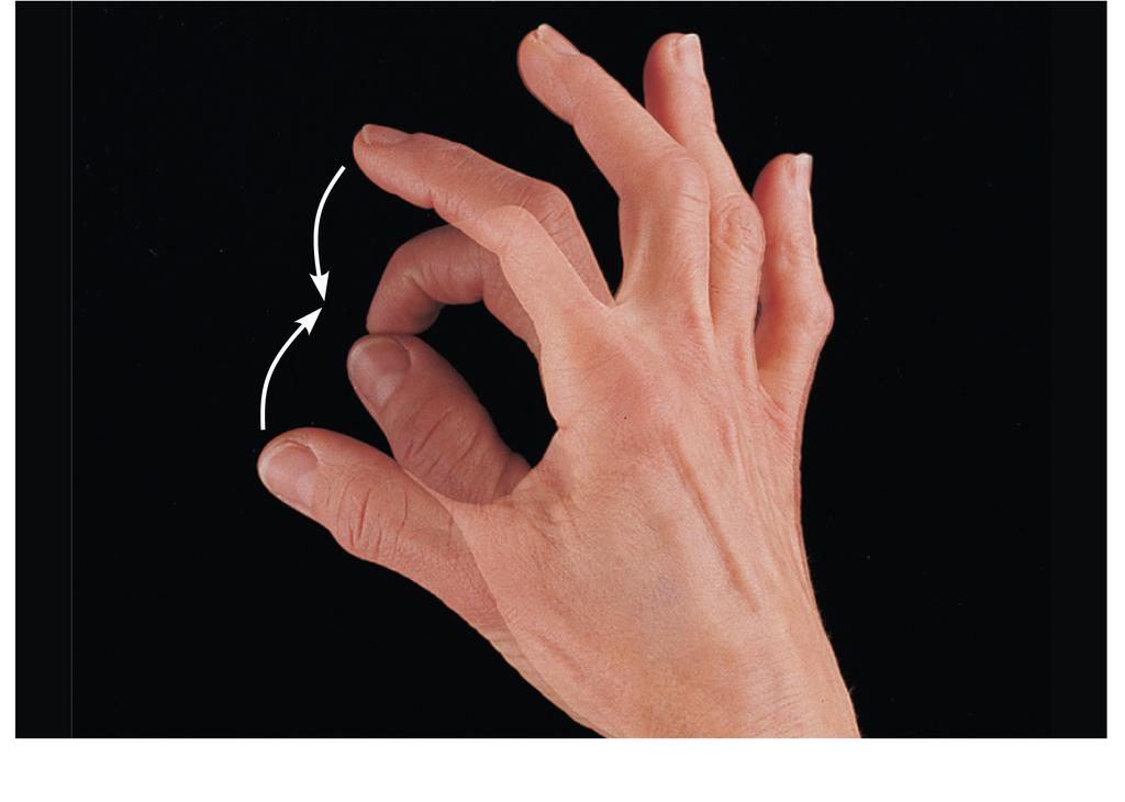 6d Opposi5on of the Movement in the saddle joint so that the thumb touches the 5ps of the other