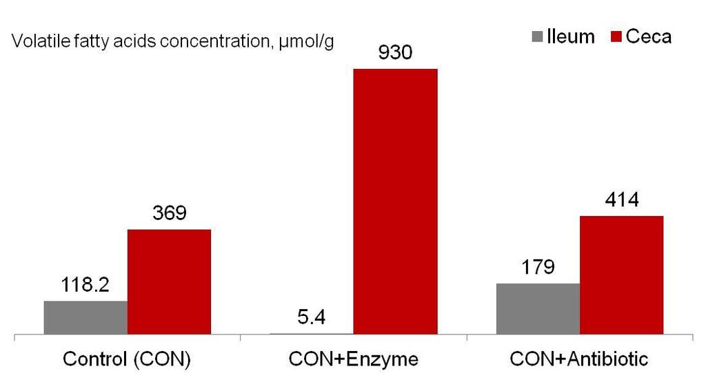 Enzymes: Large Intestine Choct et al. Brit.