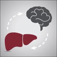 Hepatic Encephalopathy A deterioration in brain function in people with acute liver failure or chronic liver disease The brain requires a healthy liver to function Three Types: A) Acute liver