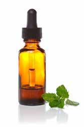 Unlike in peppermint, spearmint leaves composes only small amounts of menthol, 0.5% compared to the 40% in peppermint.