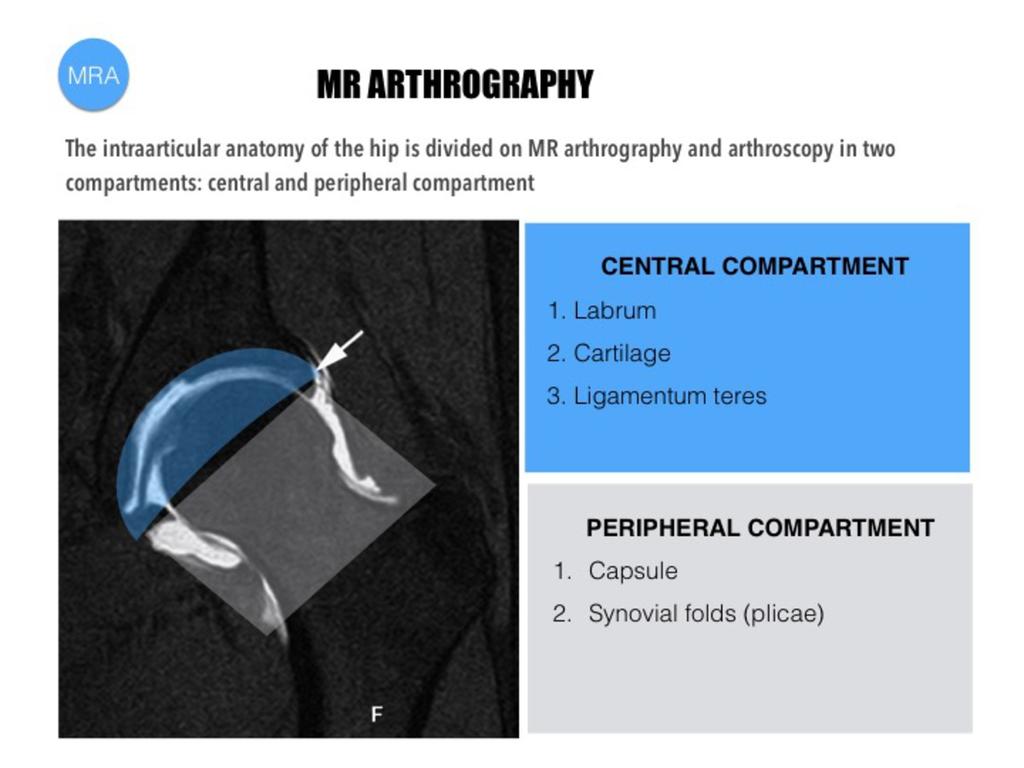 Fig. 1: Main anatomic structures of the central and peripheral