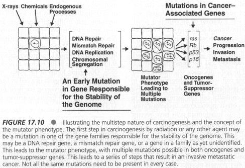 mutations, or deletions in multiple signaling genes, either oncogenes or suppressor genes.