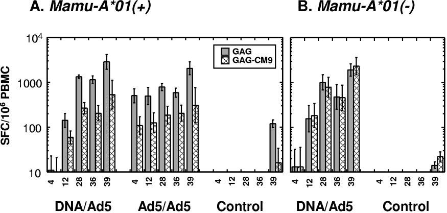 VOL. 79, 2005 DNA/Ad5-GAG IMMUNIZATION AGAINST SIVmac239 15549 FIG. 1. Percentages of circulating CD3 CD8 T lymphocytes that stained positively with the Gag CM9 tetramer.