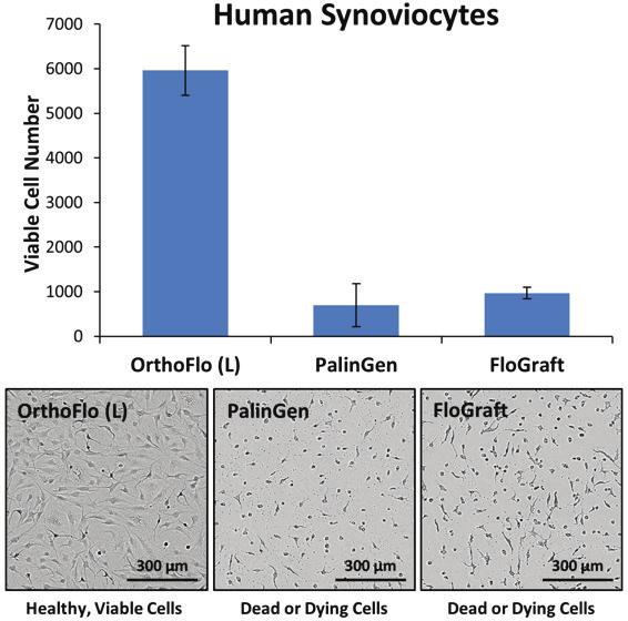 In further comparison of some of these competitive products, viability and morphology of human synoviocytes in response to each product was assessed in vitro.