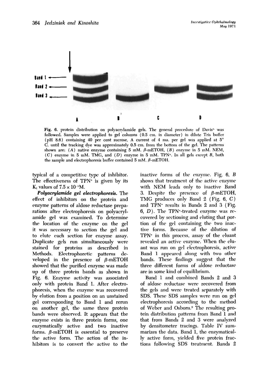 Invcxtinalive Ophthalmology May 1971 364 Jedziniak and Kinoshita I e D Fig. 6. protein distribution on polyacrvlamide gels. The general procedure of Davis" was followed.