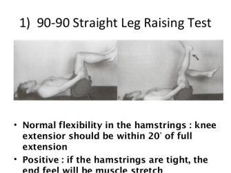 stretch reflex evaluation?