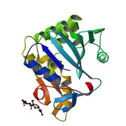 Proteins P-Insulin-like V-Insulin-like Lectin Momordin 11 kda 11 kda 120 kda 27.