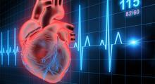 Cardiological diseases are one of the first