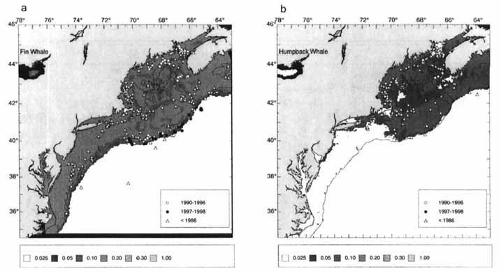 HAMAZAKI: HABITAT PREDICTION MODEL 93 1 Figure 6. Predicted habitat areas and sighting locations (August) of northern Atlantic shelf species: (a) fin whales and (b) humpback whales.