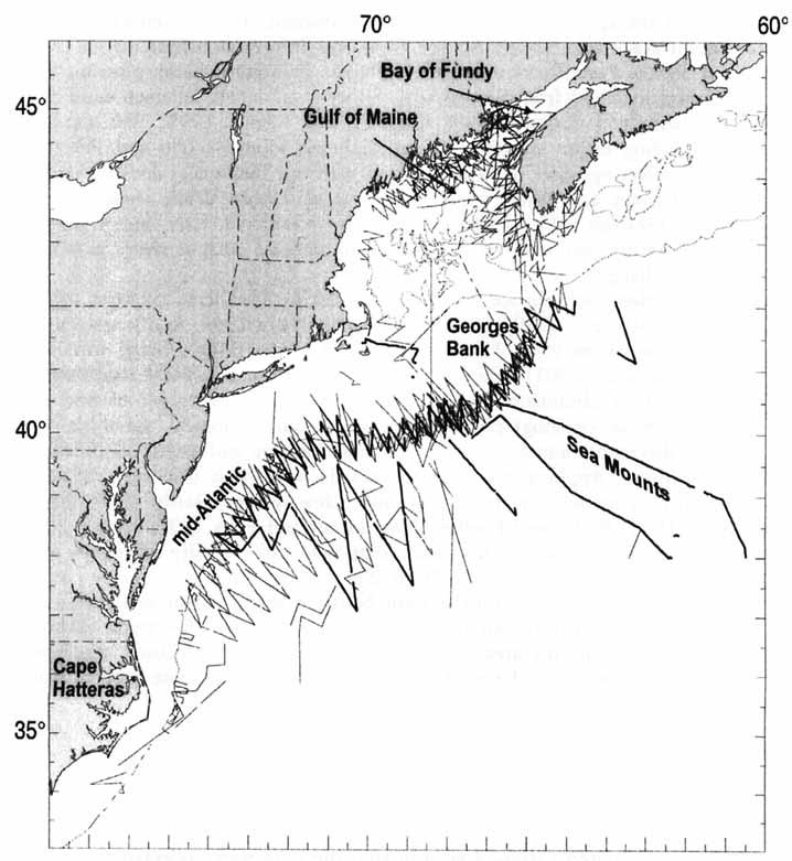 922 MARINE MAMMAL SCIENCE, VOL. 18, NO. 4,2002 Fzgure 1 Sighting survey track lines during 1990-1998.