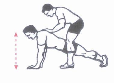 With these considerations firmly in mind, let s look at a circuit of Partner Resistant Exercise that is appropriate to rugby. THECIRCUIT 1. PRESS UPS. 2. SIT UPS. 3. LEG EXTENSIONS. 4. BICEP CURL. 5.