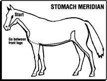 problems Stomach - colic, digestion problems, stifle disorders, hind end disorders,