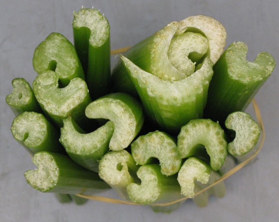 Commercially-cut (left) and water-jet cut (right) celery stalks,