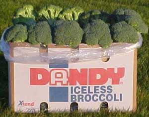 Iceless Broccoli