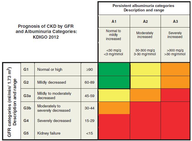 Chronic Kidney Disease (CKD) Abnormalities of kidney structure or function,