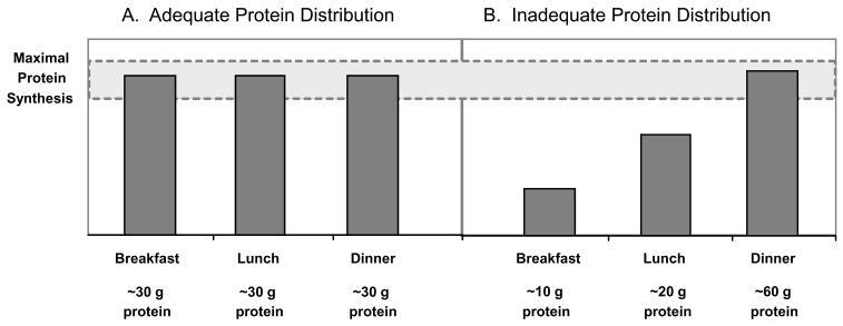 Dietary PROTEIN: Strategies for optimal