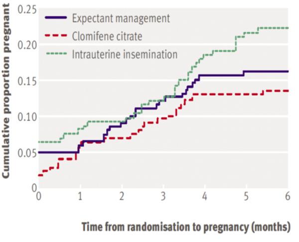 CC or IUI vs Expectant Management for UEI - RCT 580 women were randomised to: Expectant management (n=193) Clomiphene citrate (n=194) Unstimulated IUI (n=193) Live birth rate vs.