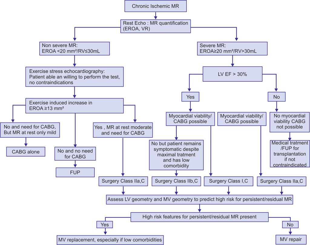 8 Section 2 Clinical Applications Flow chart 1: Management of patients with chronic ischemic mitral regurgitation. REFERENCES 1. He S, Fontaine A, Schwammenthal E, et al.