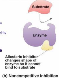 Effect Inhibitor & substrate compete for active site Ex: Penicillin blocks enzyme that bacteria use to build cell wall