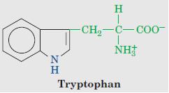 AROMATIC AMINO ACID DEGRADATION The aromatic amino acids are those containing aromatic or benzene ring in their side chains Examples