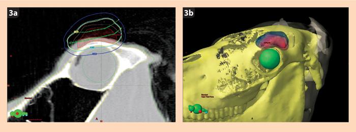 Figure 2a. A 3D colour-enhanced reconstruction. Figure 2b. A reconstructed 2D transverse slice reconstruction of a horse skull in the brachytherapy treatment planning software.