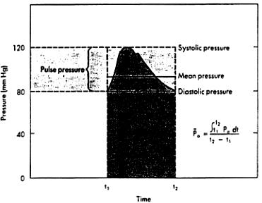 Figure 3. Arterial systolic, diastolic, pulse and mean pressures.