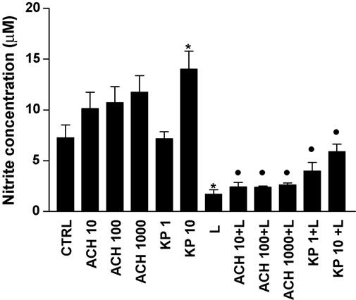 Fig. 8 The Effect of Black Ginger Extract on NO production in human umbilical vein endothelial cells.