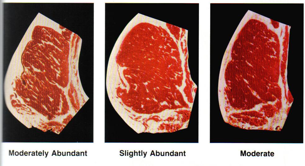 Beef Quality: marbling and tenderness Beef quality is mainly