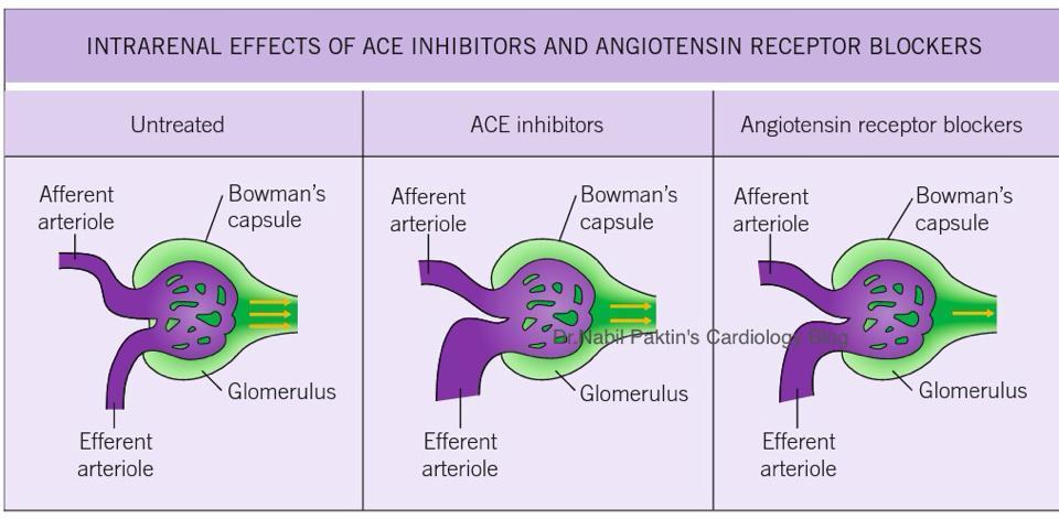 ADDITIONAL TREATMENT Antihypertensives Indicated if BP > 160-180mmHg ACEi? Can be deleterious in the acute setting Calcium channel blocker Amlodipine 0.2-0.75mg/kg/d (can give rectally) Hydralazine 2.