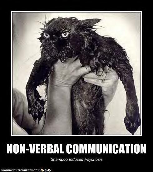 Nonverbal Communication.. Can be up to 90% of communication.