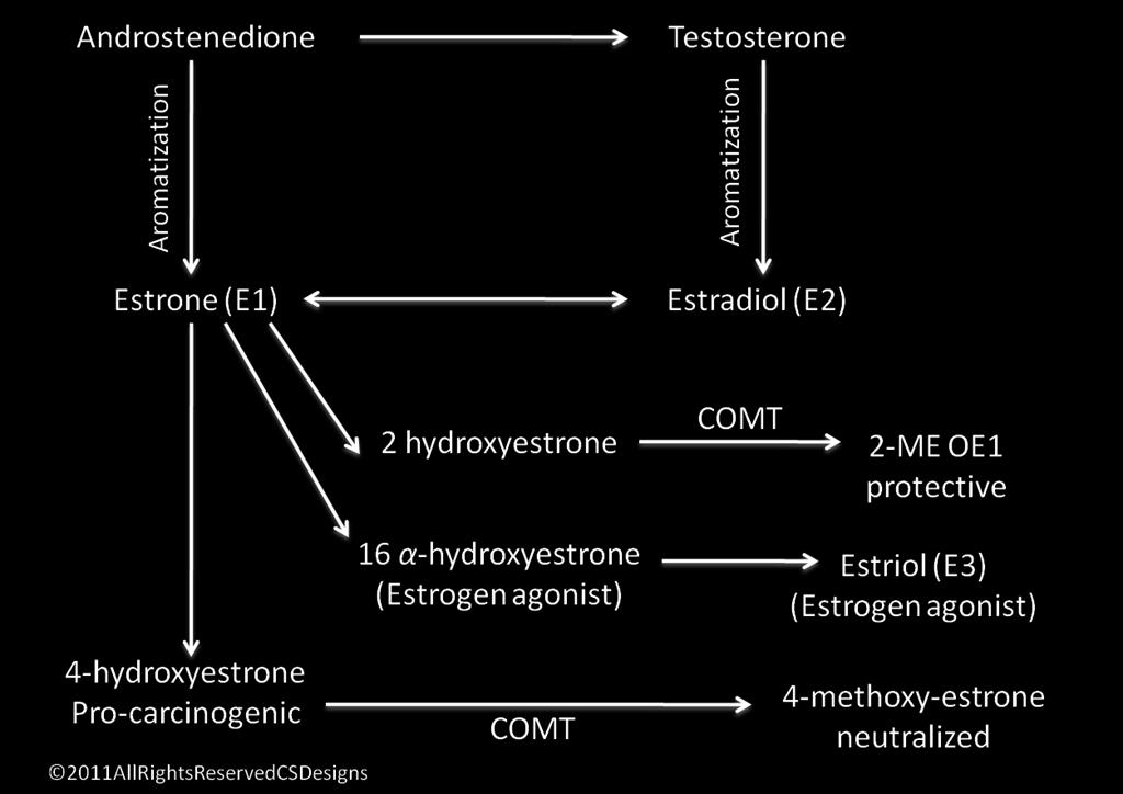 This harmful pathway can be minimized through detoxification and excretion of the catechol estrogens via Phase II methylation by the catecol-o-methyltransferase (COMT) enzyme.