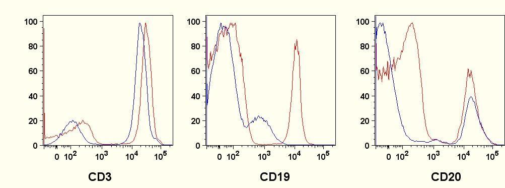 Starting vs CD3/CD19 Enriched Fraction- Effect on Ab for Flow CD3/CD19 Enr