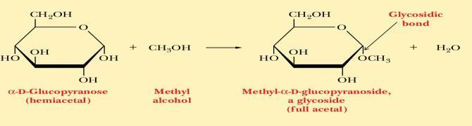 - If the group on the non-carbohydrate molecule to which the sugar is attached is an -OH group, the structure is an O-glycoside (linked by O glycosidic bond).