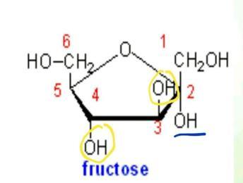 For Fructose See the two carbons that are attached to the oxygen atom, you can see that one of them is attached to a hydroxyl group, this would be the anomeric carbon, give it number two (because it
