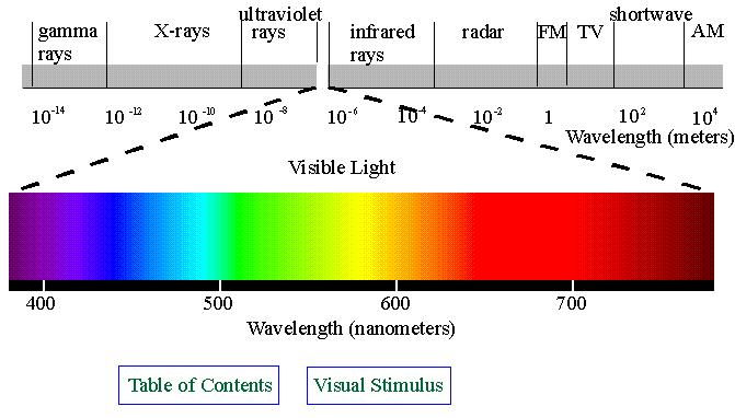 Vision -Light is electromagnetic energy.