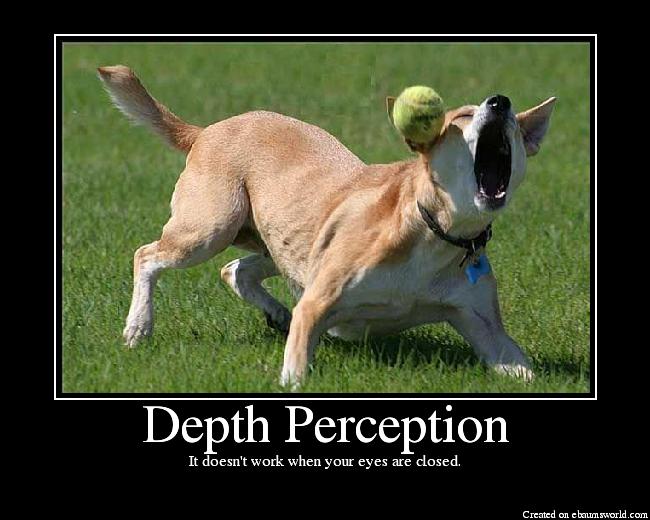 Perception (Cont.