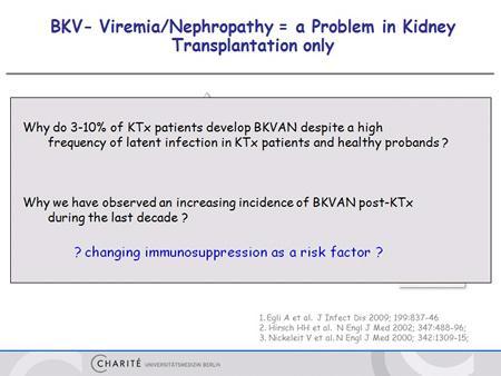 That leads to two important questions: one question is why do 10% of our kidney patients develop BKV associated nephropathy despite a high frequency of latent infection in kidney transplant patients