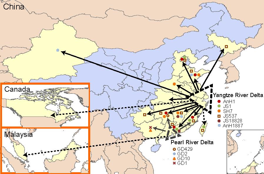 Import cases of A(H7N9) infection in Canada,