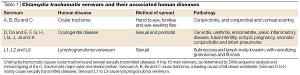 Figure 3: Immune response to Chlamydia. in the female genital tract (FGT). (Brunham and Rey- Ladino, 2005) Chlamydia.