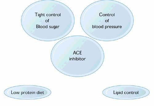 Management of Diabetic Macrovascular Disease Key